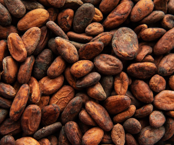 Wholesale Cocoa Beans Suppliers In USA